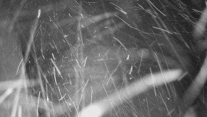 SkiAreál - Horský hotel Vsacký Cáb - Nástup na běžecké tratě - 15.2.2026 v 02:15 SkiAreál - Horský hotel Vsacký Cáb - Nástup na běžecké tratě - 15.2.2026 v 02:15