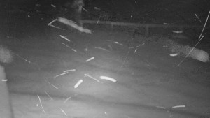 SkiAreál - Horský hotel Vsacký Cáb - Nástup na běžecké tratě - 15.2.2026 v 04:31 SkiAreál - Horský hotel Vsacký Cáb - Nástup na běžecké tratě - 15.2.2026 v 04:31