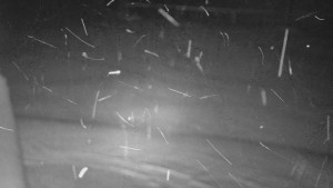 SkiAreál - Horský hotel Vsacký Cáb - Nástup na běžecké tratě - 15.2.2026 v 05:00 SkiAreál - Horský hotel Vsacký Cáb - Nástup na běžecké tratě - 15.2.2026 v 05:00