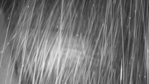 SkiAreál - Horský hotel Vsacký Cáb - Nástup na běžecké tratě - 15.2.2026 v 06:01 SkiAreál - Horský hotel Vsacký Cáb - Nástup na běžecké tratě - 15.2.2026 v 06:01