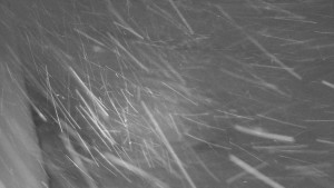 SkiAreál - Horský hotel Vsacký Cáb - Nástup na běžecké tratě - 15.2.2026 v 06:30 SkiAreál - Horský hotel Vsacký Cáb - Nástup na běžecké tratě - 15.2.2026 v 06:30