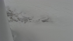 Nástup na běžecké tratě