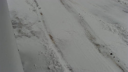 Nástup na běžecké tratě