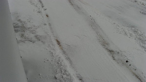 SkiAreál - Horský hotel Vsacký Cáb - Nástup na běžecké tratě - 15.2.2026 v 10:16 SkiAreál - Horský hotel Vsacký Cáb - Nástup na běžecké tratě - 15.2.2026 v 10:16