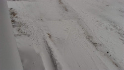 Nástup na běžecké tratě