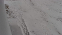 Nástup na běžecké tratě