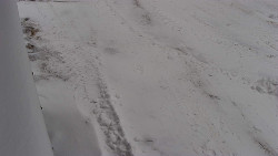 Nástup na běžecké tratě