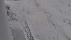 Nástup na běžecké tratě