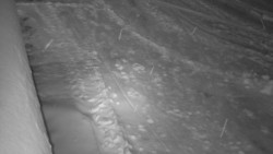 Nástup na běžecké tratě