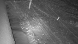 Nástup na běžecké tratě