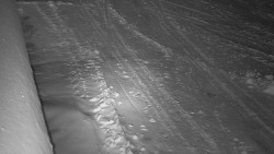 Nástup na běžecké tratě