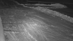 Nástup na běžecké tratě