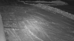 Nástup na běžecké tratě