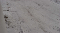 Nástup na běžecké tratě