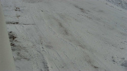 Nástup na běžecké tratě