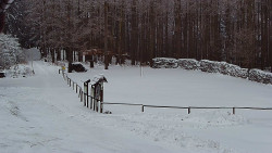 Nástup na běžecké tratě