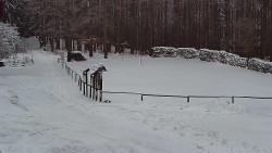 Nástup na běžecké tratě