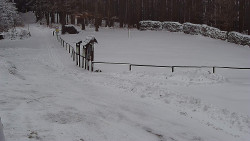 Nástup na běžecké tratě