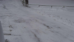 Nástup na běžecké tratě