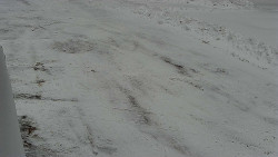 Nástup na běžecké tratě