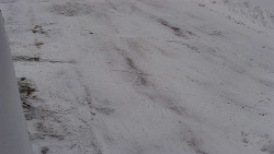 Nástup na běžecké tratě