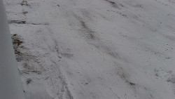 Nástup na běžecké tratě