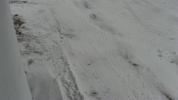 Nástup na běžecké tratě