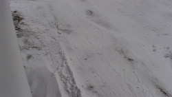 Nástup na běžecké tratě