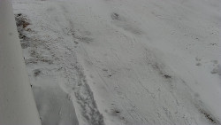 Nástup na běžecké tratě