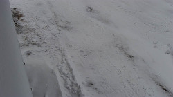 Nástup na běžecké tratě