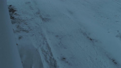 Nástup na běžecké tratě