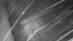 Nástup na běžecké tratě