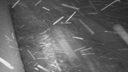 Nástup na běžecké tratě