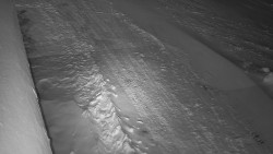 Nástup na běžecké tratě