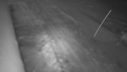 Nástup na běžecké tratě