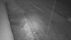 Nástup na běžecké tratě