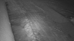 Nástup na běžecké tratě