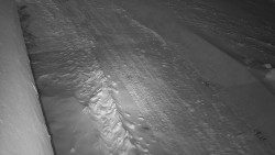 Nástup na běžecké tratě