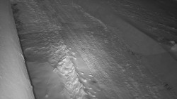 Nástup na běžecké tratě