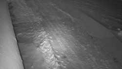 Nástup na běžecké tratě