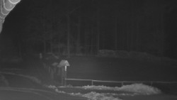 Nástup na běžecké tratě