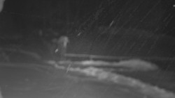 Nástup na běžecké tratě