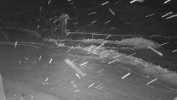 Nástup na běžecké tratě