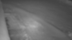 Nástup na běžecké tratě