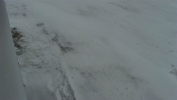 Nástup na běžecké tratě