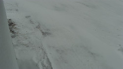 Nástup na běžecké tratě