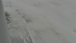 Nástup na běžecké tratě