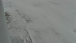 Nástup na běžecké tratě