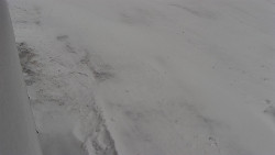 Nástup na běžecké tratě