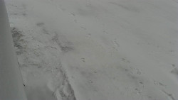 Nástup na běžecké tratě